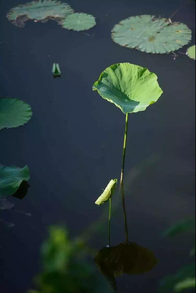 ҵ����������ô�죿