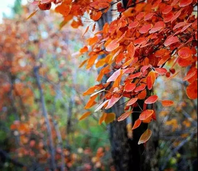 ������ʲô����ͻ����ʲô����