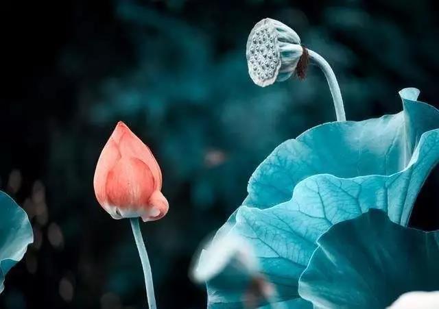 ������ʲô����ͻ����ʲô����