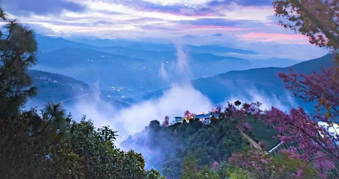 ӡ�ⷨʦ���ĵ��������γ������