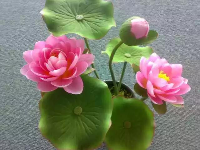 ��һ�������õġ�ʮ�仰��