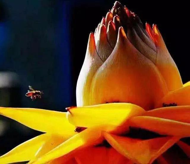 �˲����ܲ���ҵ����ȴ�������Լ���Ҫ����ҵ��