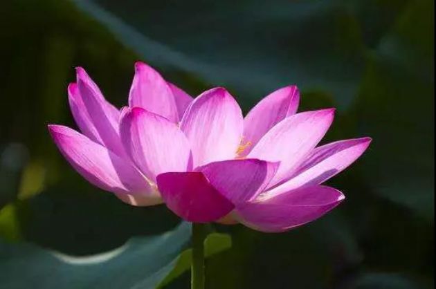 活在当下,不要让自己迷失在过去或未来 活在当下,不要让自己迷失在过去或未来