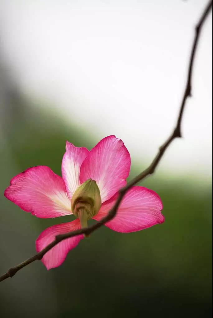 真正伤害你的,是你的“自以为是” 真正伤害你的,是你的“自以为是”