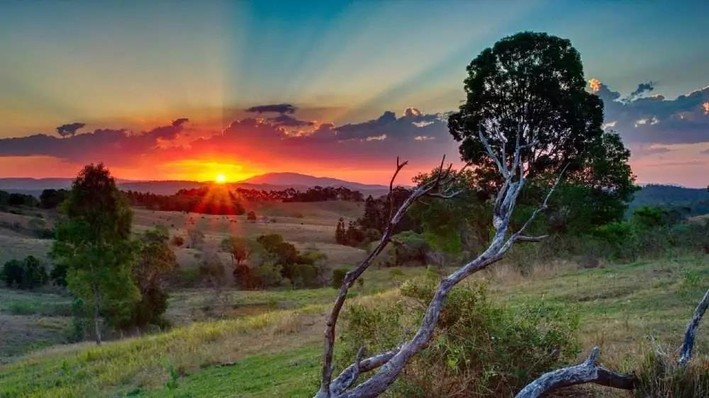 真正伤害你的,是你的“自以为是” 真正伤害你的,是你的“自以为是”