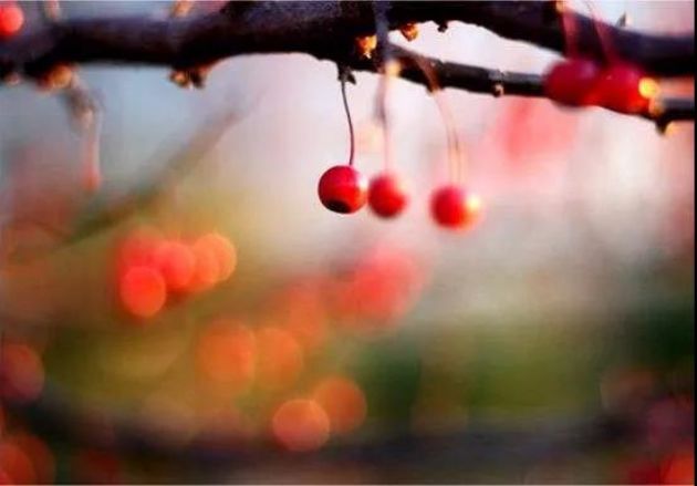 �ҵ���Щ�ź�����֪������û��