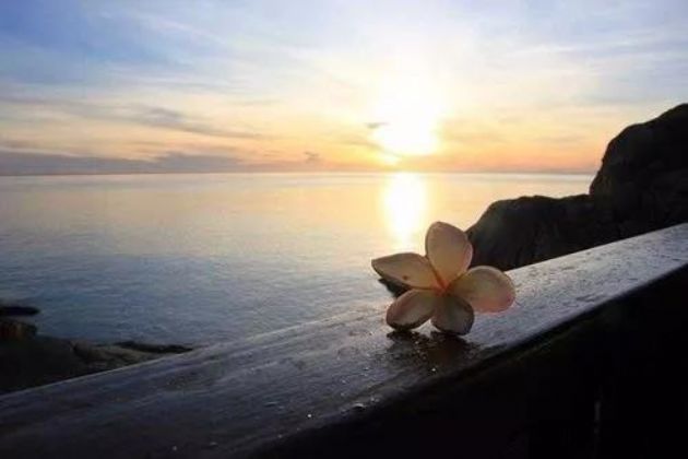 �ҵ���Щ�ź�����֪������û��