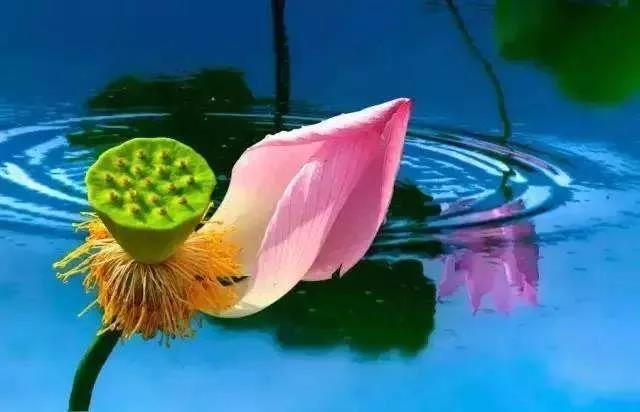 ΪʲôҪ�����ͱ�����½�����