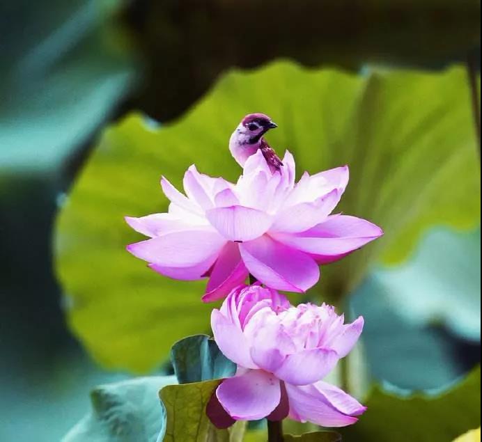 С�ģ�������Щ����ͷ����������ĸ�����