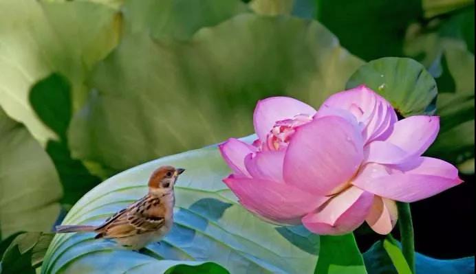 С�ģ�������Щ����ͷ����������ĸ�����