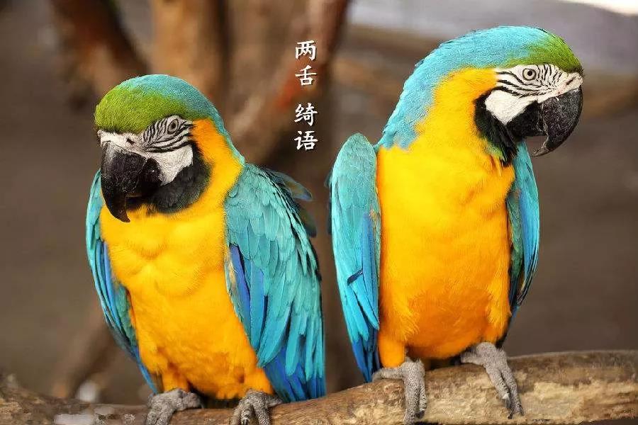 С�ģ�������Щ����ͷ����������ĸ�����