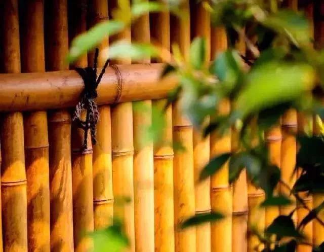 12个经典禅意故事 12个经典禅意故事