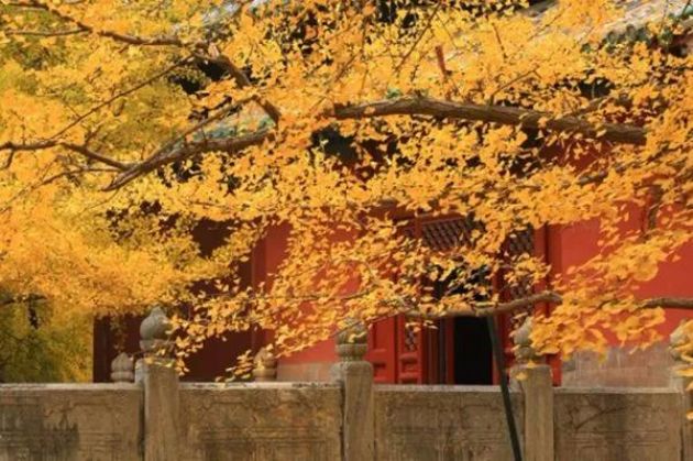 12个经典禅意故事 12个经典禅意故事