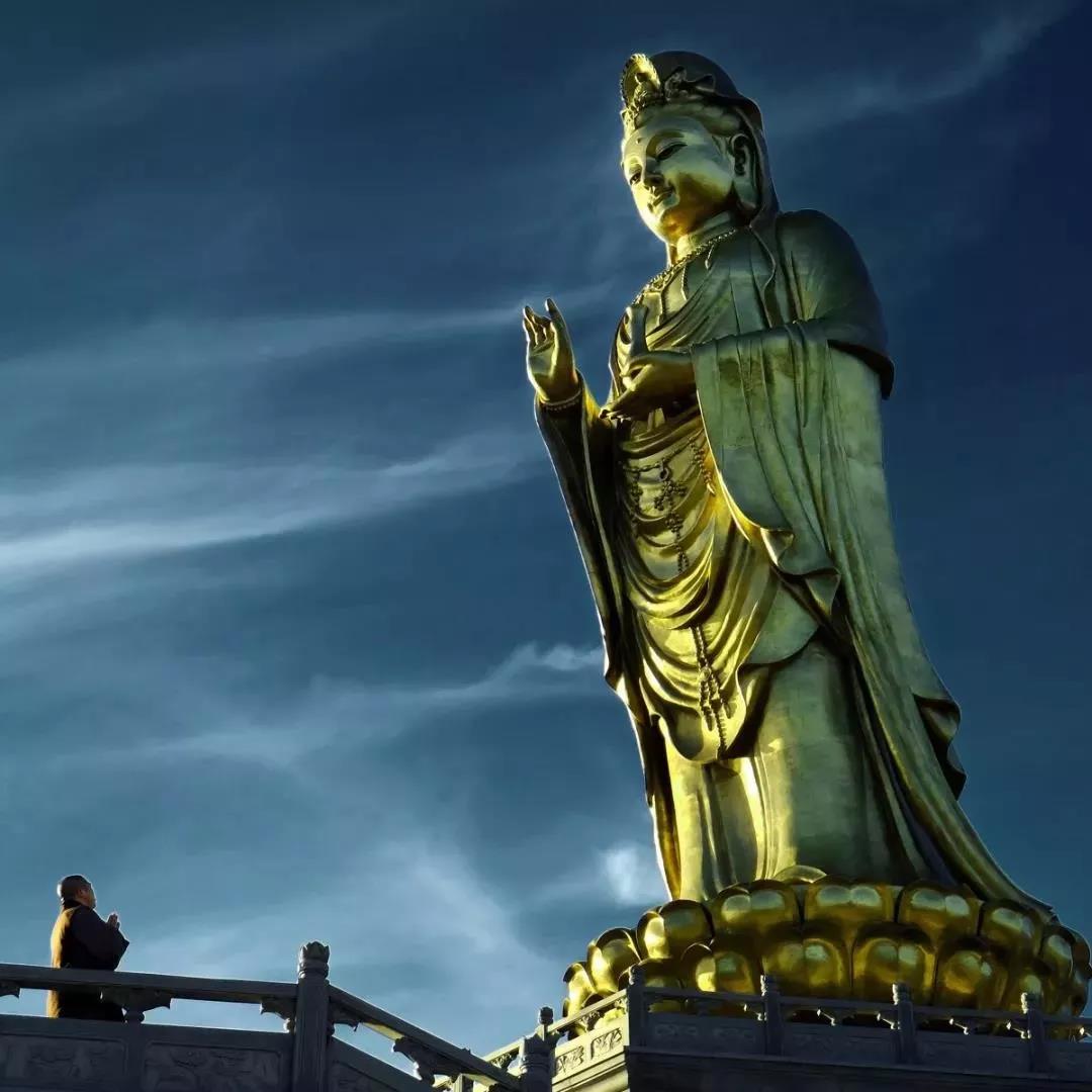 ���Ź����������¸ҵ��������ֻ���