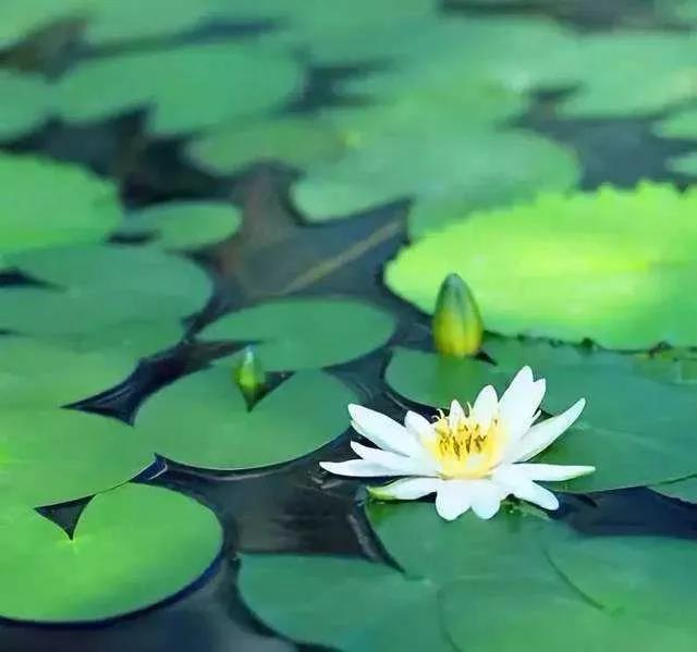 �򷨽Կպ��������ì����