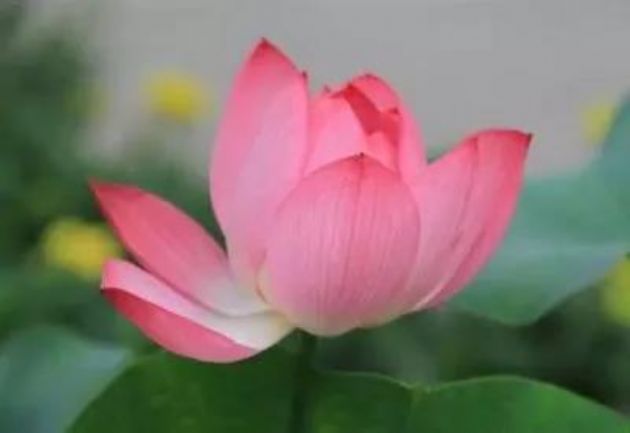 ����󣬾Ͳ��������ֻ�����