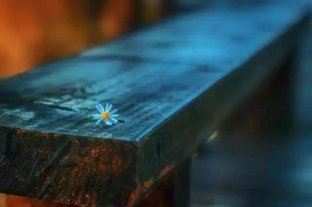 ����󣬾Ͳ��������ֻ�����