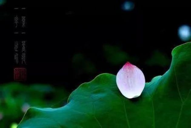 万缘放下,狂心即歇,歇即菩提 万缘放下,狂心即歇,歇即菩提