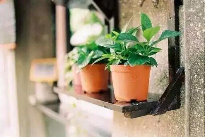 ���ա���ã��и����ȥ�������ط����ߣ�ȫ����ͨ�ˣ�