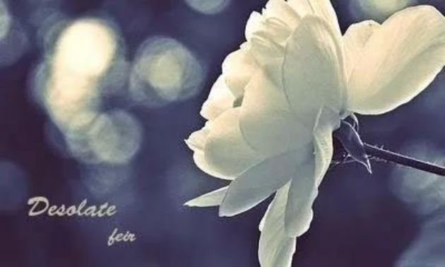 ���ա���ã��и����ȥ�������ط����ߣ�ȫ����ͨ�ˣ�