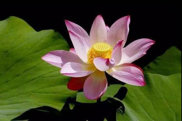 ��λ�ù�������������Ʒ���£�