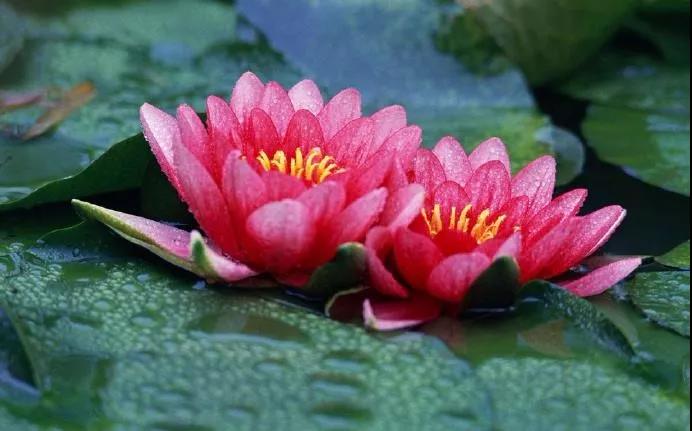 ���������������㣬���������������