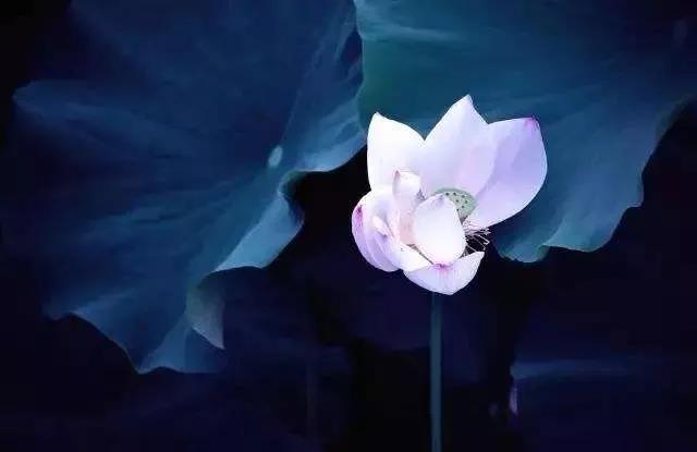 ӡ�ⷨʦ���޳����ң���������