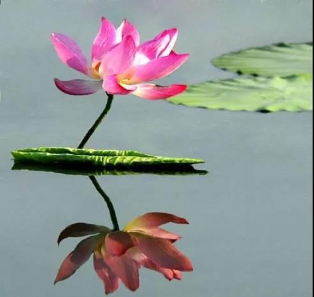 这么多法门,无非对治众生的心而已 这么多法门,无非对治众生的心而已