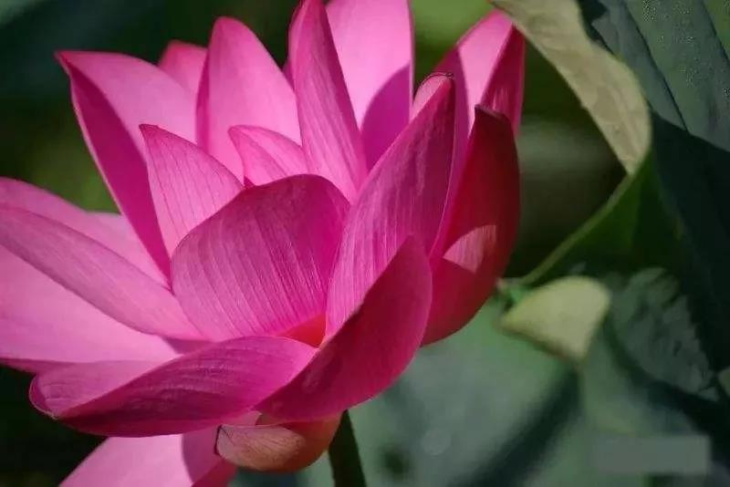 ����̫æ��ûʱ�����С��Ľ��֮����