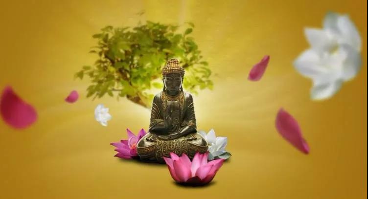 ����Գ����������������£�