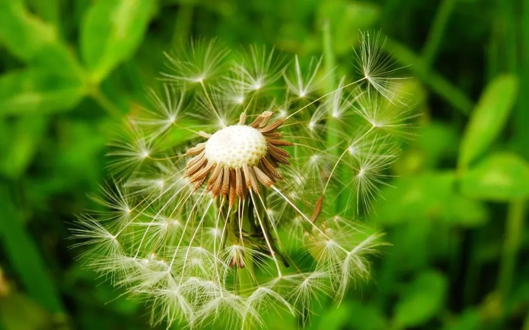 佛言人有二十难,你占了几个? 佛言人有二十难,你占了几个?