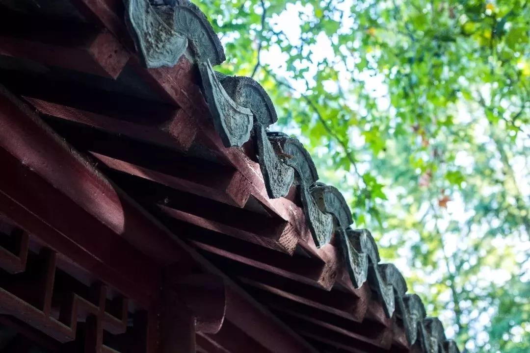 ������Ϸ����Ҳ�ǰ�˹��Ӱ��