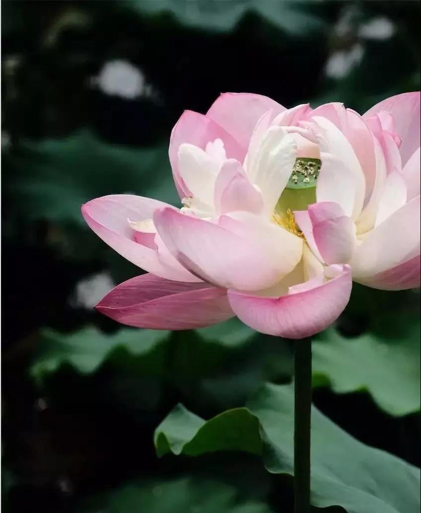 ����ƣ���ˣ���ô�죿