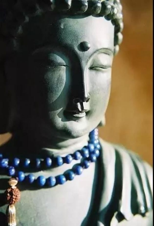 ����һ������ȥ����������������