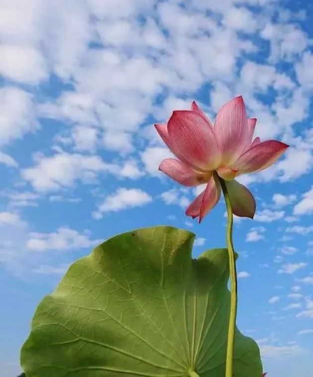 ����һ������ȥ����������������