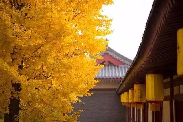 佛门里的一些规矩,居士必知! 佛门里的一些规矩,居士必知!