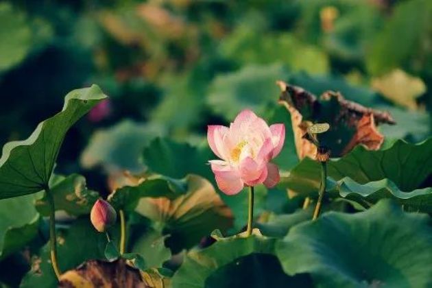 ��������˱��ֵ��£�Ҳ�����˱��ܵ���