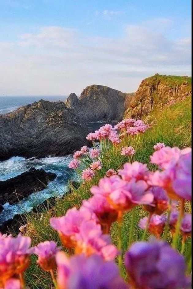 我们生活的世界到底是净土还是秽土? 我们生活的世界到底是净土还是秽土?