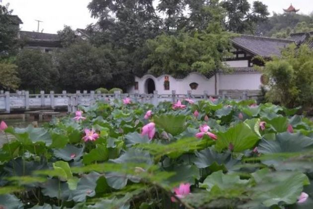 ��Ҫ�޸��޻ۣ�������ž���ȫ������