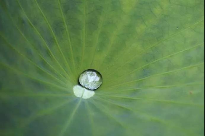 既然念佛能消业障,为什么还会遇到障缘? 既然念佛能消业障,为什么还会遇到障缘?