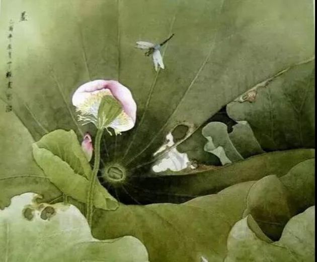 你有什么样的心量,就有什么样的六根 你有什么样的心量,就有什么样的六根