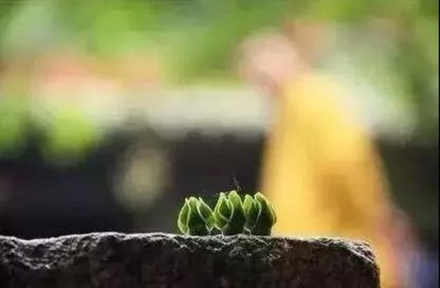 几个消除业障的最快方法! 几个消除业障的最快方法!