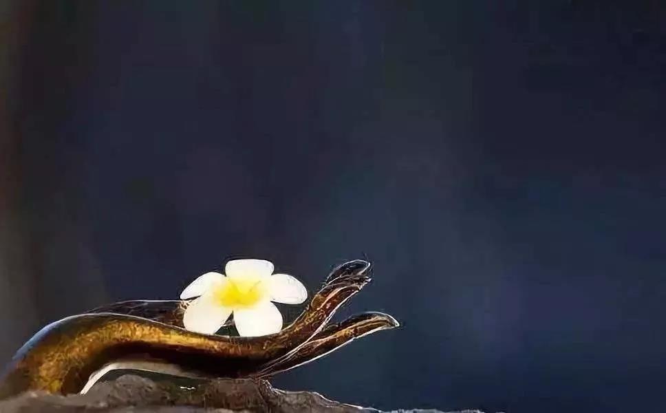 ��ζ��Լ���ϲ�����˷��ȱ��ģ�