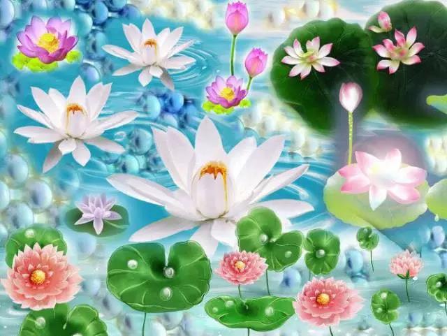 Ը���з���Ӷ��ܿ�������ʤׯ�ϵļ�������