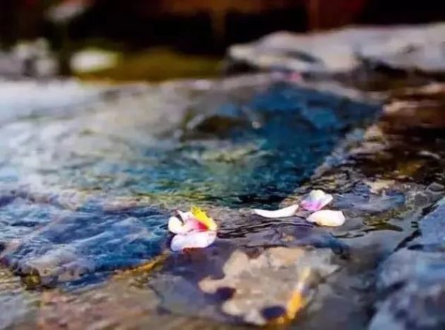 ������ֹ������Զ�����ˣ�