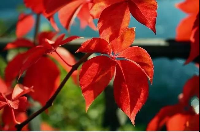 告别无明烦恼,告别生死轮回 告别无明烦恼,告别生死轮回