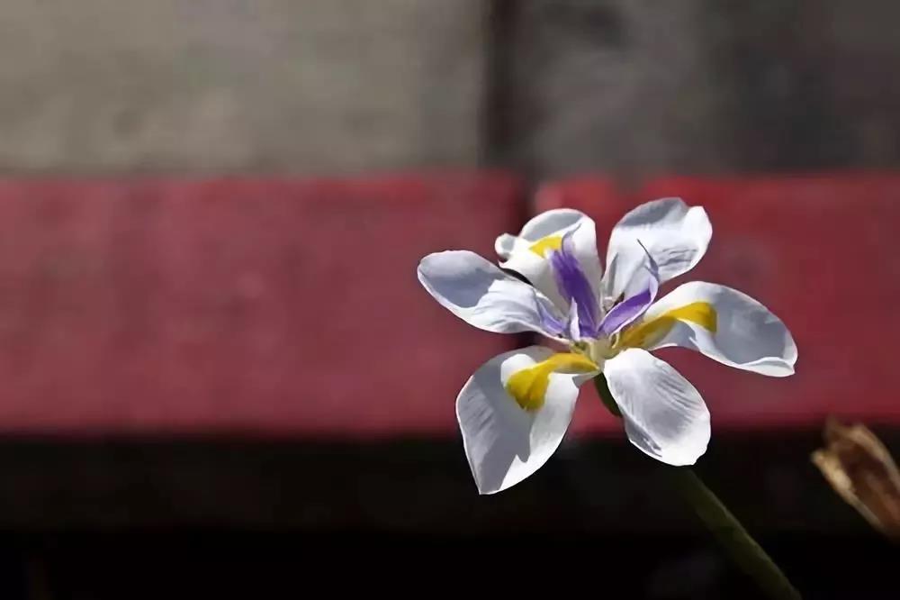 为什么福报越修越少?这些细节一定要注意 为什么福报越修越少?这些细节一定要注意