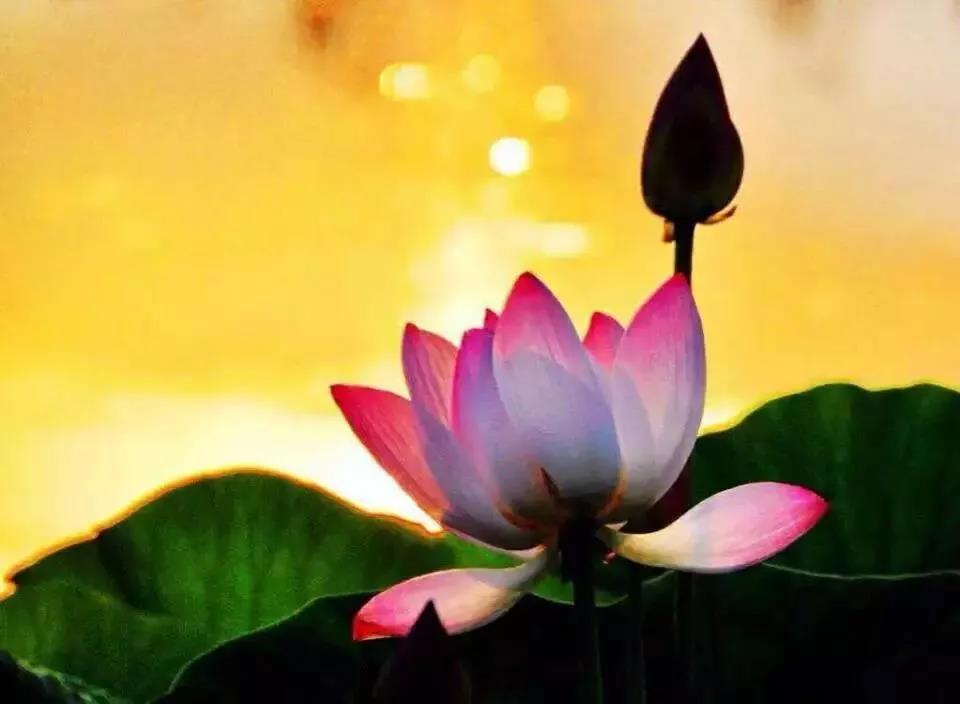 ���˺û��Ǳ��˵��£����ش�������������