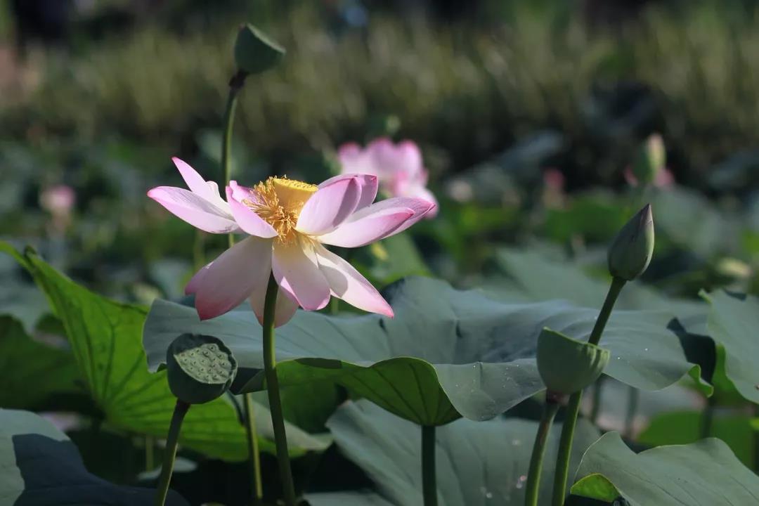 ���������⳾ʱ�������������еĿ�ʼ��