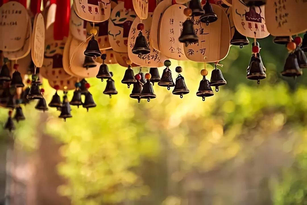 ��ã���˿��������𷨽�����Բ���������滮